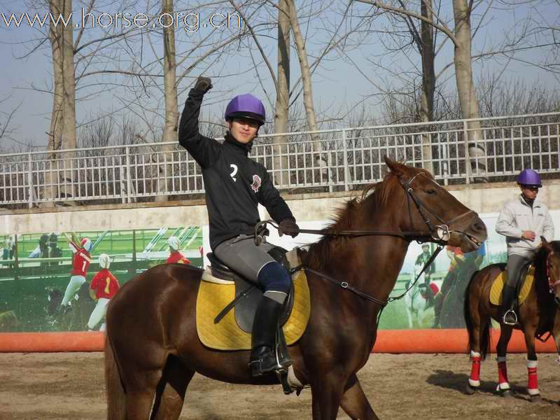 为拿到2010年国际马联(FEI)世界马术运动会国际马篮球比赛的参赛资格马篮球队员即日起加紧比赛训