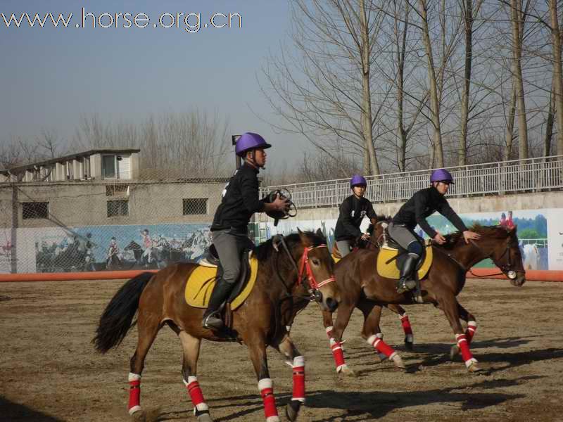 为拿到2010年国际马联(FEI)世界马术运动会国际马篮球比赛的参赛资格马篮球队员即日起加紧比赛训