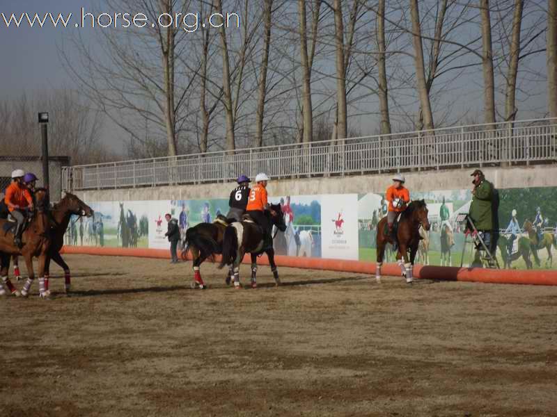 为拿到2010年国际马联(FEI)世界马术运动会国际马篮球比赛的参赛资格马篮球队员即日起加紧比赛训