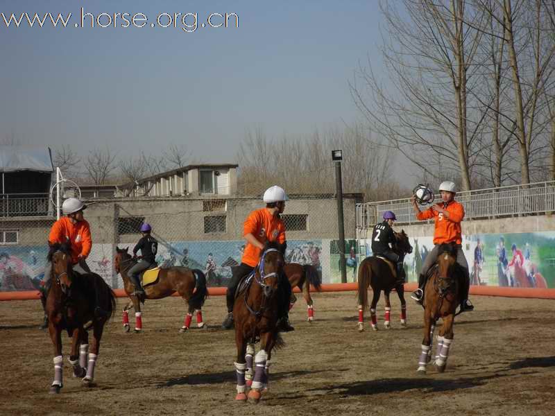 为拿到2010年国际马联(FEI)世界马术运动会国际马篮球比赛的参赛资格马篮球队员即日起加紧比赛训