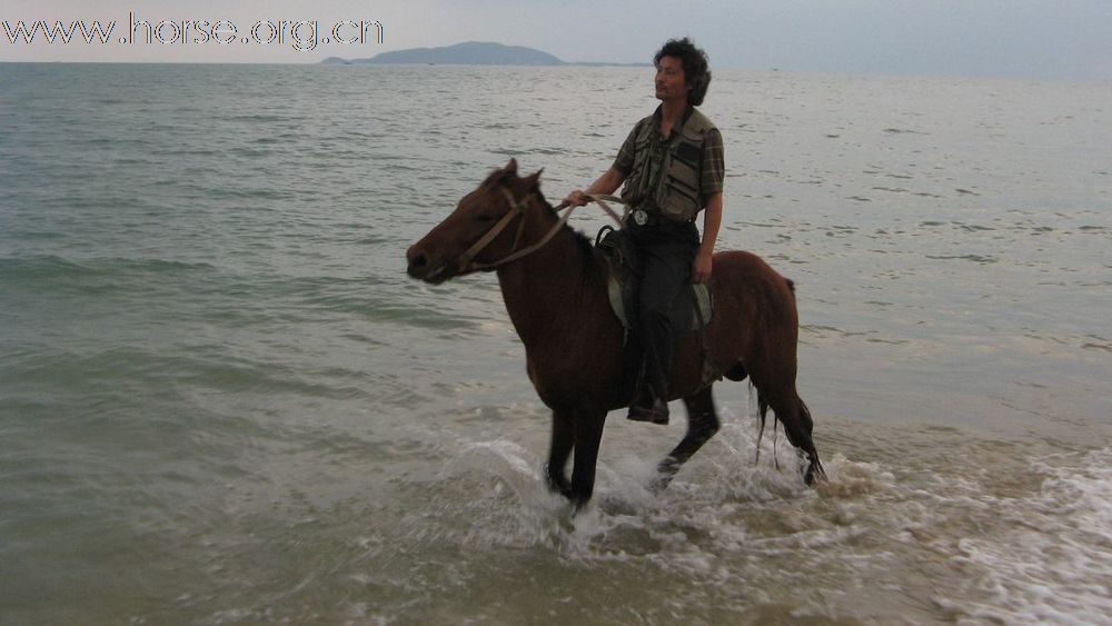 三亚海滩遛马