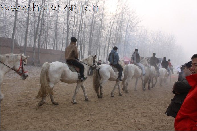 2009年山东马术邀请赛在青岛召开
