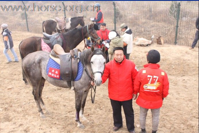 半岛马术联盟秘书长及副秘书长亲临北京永定河耐力赛