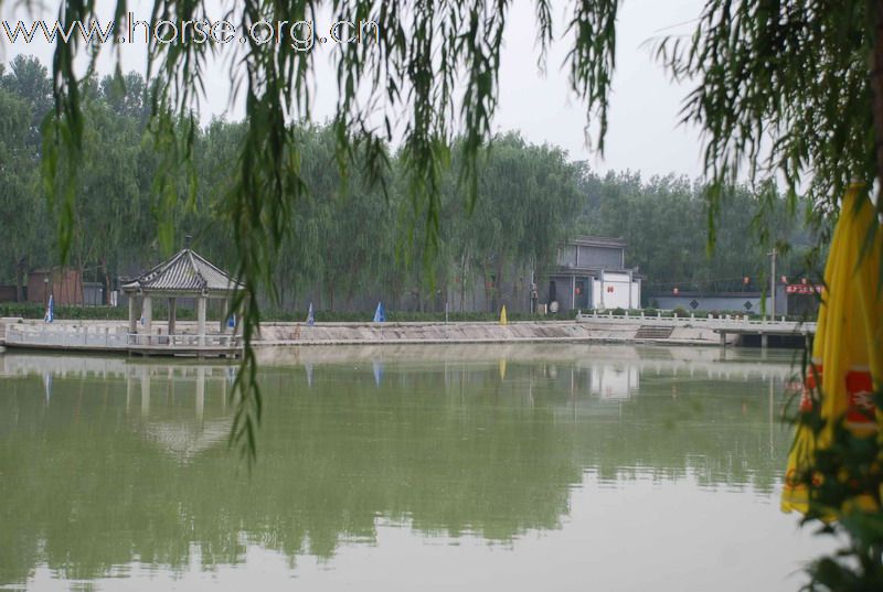 [原创]北京英辰国际马术俱乐部招收免费马主会员!