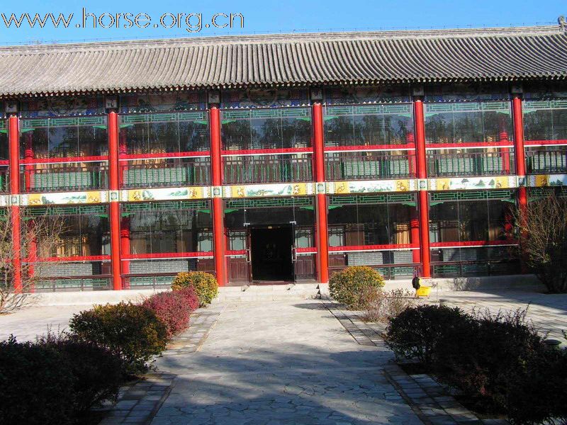 [原创]北京英辰国际马术俱乐部招收免费马主会员!