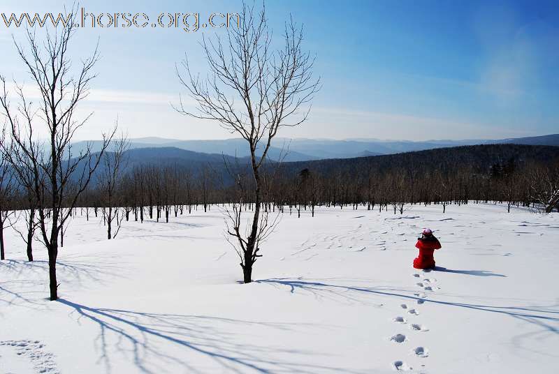 晒晒2009春节（吉林雪乡）