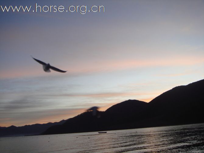 09年1月游泸沽湖