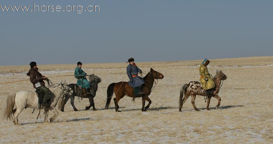 [N多贴图]2009年春节亲历冬日的蒙古草原