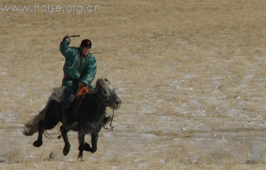 [N多贴图]2009年春节亲历冬日的蒙古草原