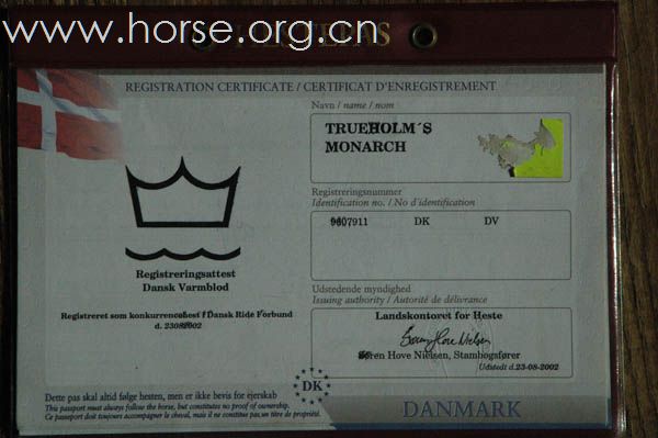 卖马，打包便宜（二）MONARCH.联系人：李兵13901176892