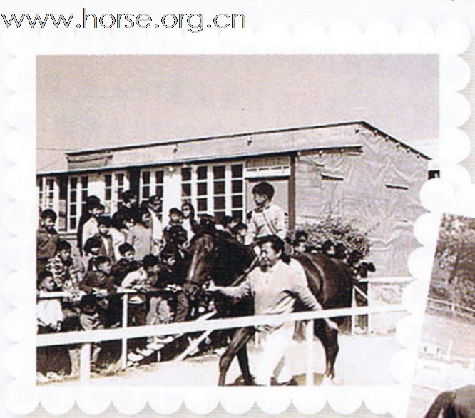 中國馬術界的第一夫人 - 羅凱倫 Helen Lo, first lady of China's equitation