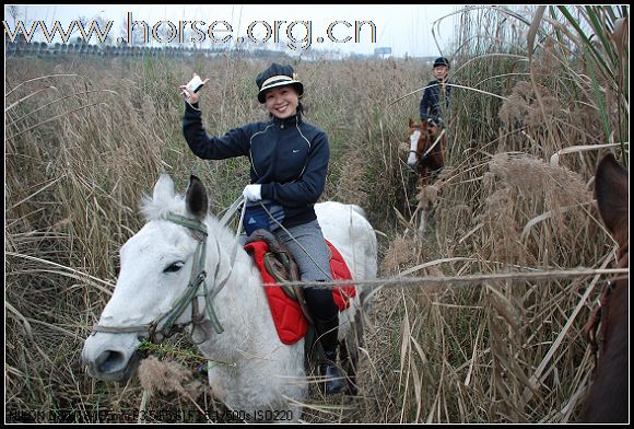 づ 成都大马帮 づ纪念相册  （新老马友报道贴）