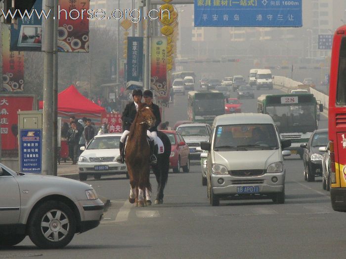 2009年青岛凤凰马术俱乐部第一次野外骑乘