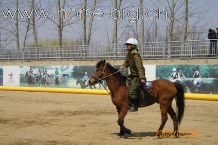 2009第一季业余女子马篮球"口水杯"花落谁家