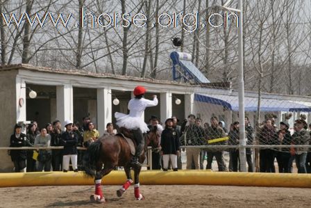 2009第一季业余女子马篮球"口水杯"花落谁家