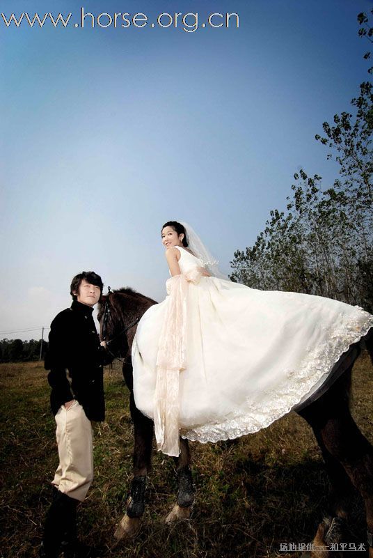 美女与野兽----马术主题婚纱摄影