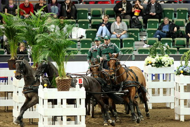 瑞典 歌德堡馬術比賽CSI5*