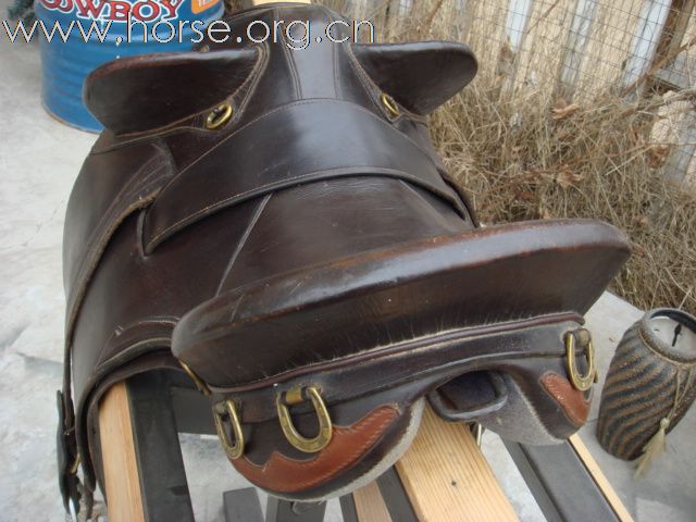 【炽热马鞍】3月新品，澳洲原产—高质量澳鞍