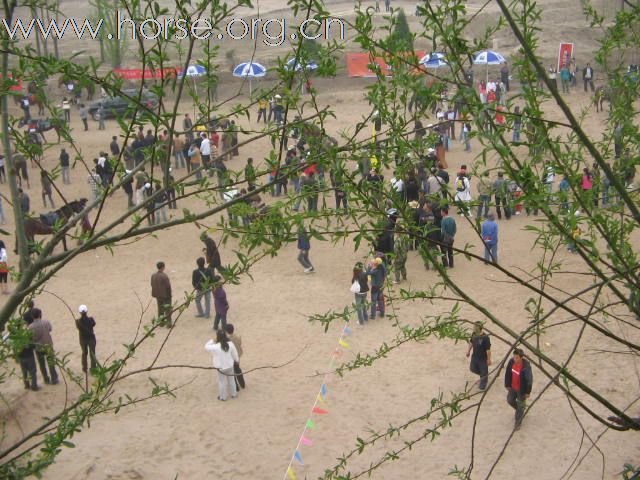 直播－2009中国北京永定河谷马术耐力冠军赛