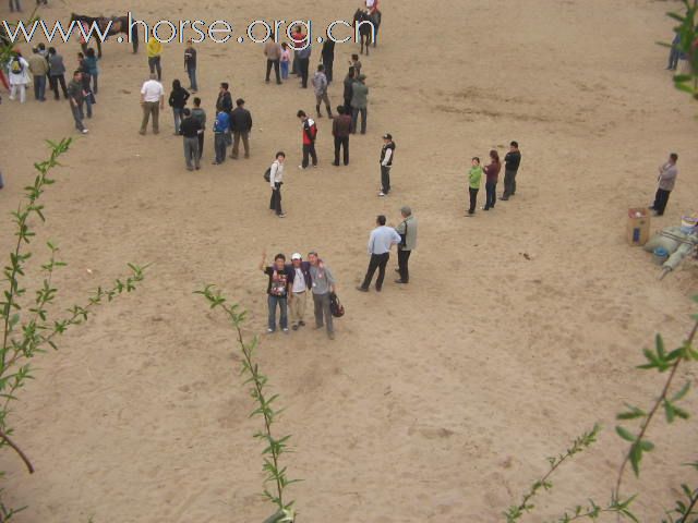 直播－2009中国北京永定河谷马术耐力冠军赛