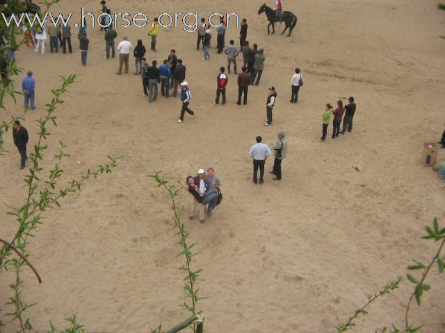 直播－2009中国北京永定河谷马术耐力冠军赛