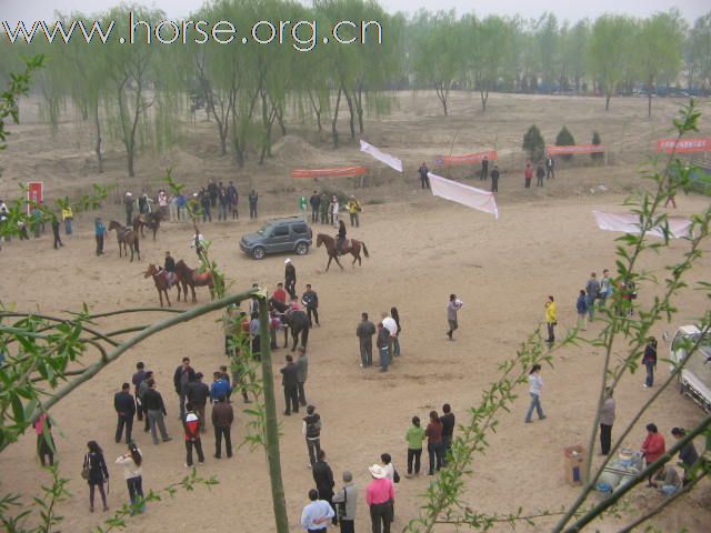 直播－2009中国北京永定河谷马术耐力冠军赛