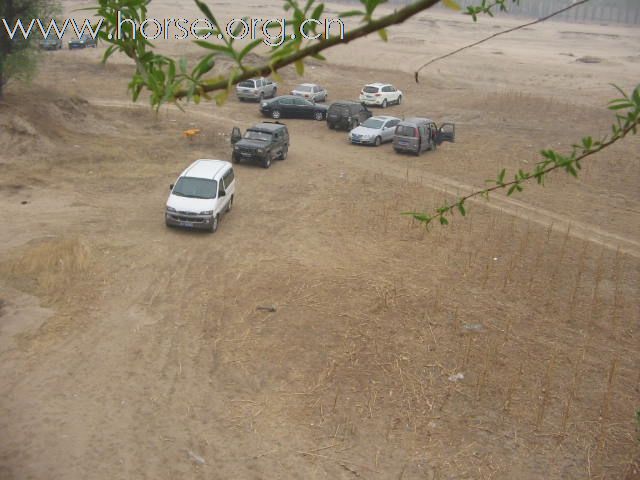 直播－2009中国北京永定河谷马术耐力冠军赛