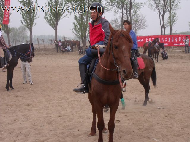 直播－2009中国北京永定河谷马术耐力冠军赛