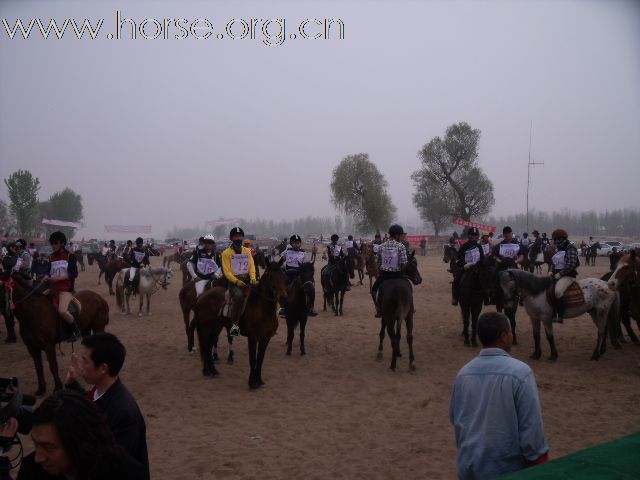 直播－2009中国北京永定河谷马术耐力冠军赛