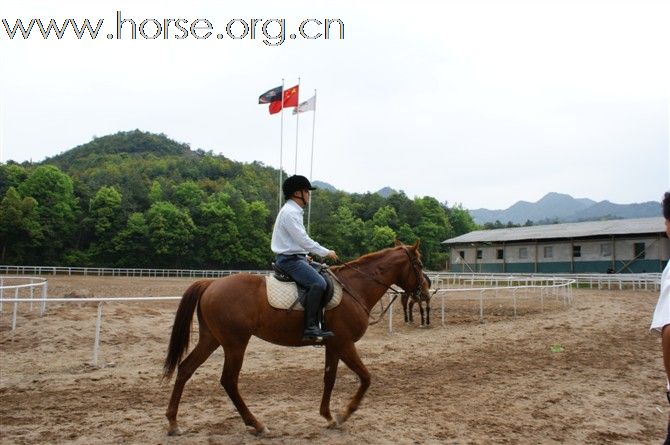 黑马骑士庄园马友聚餐厅