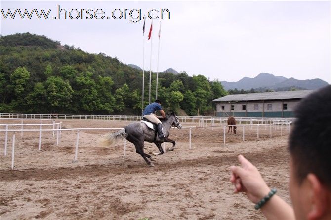 黑马骑士庄园马友聚餐厅