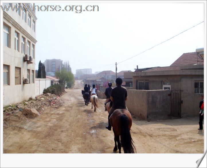 [贴图]青岛凤凰马术俱乐部第四届骑马穿越活动圆满结束