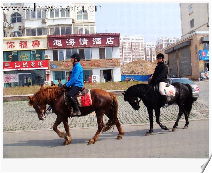 [贴图]青岛凤凰马术俱乐部第四届骑马穿越活动圆满结束