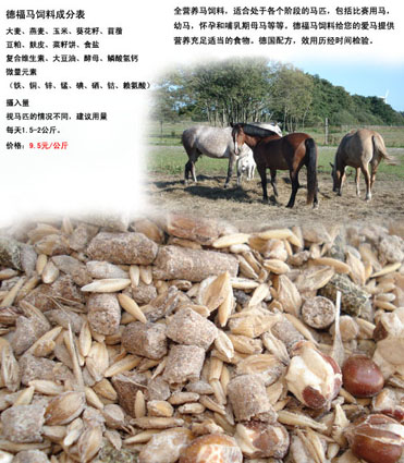 【每日一品】圣聪马具 特价商品 全营养马饲料 仅售3元/KG
