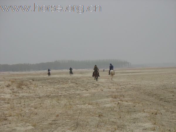 沈阳骑马野战俱乐部参加辽宁首届耐力穿越活动花絮