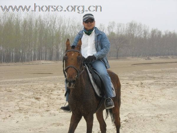 沈阳骑马野战俱乐部参加辽宁首届耐力穿越活动花絮