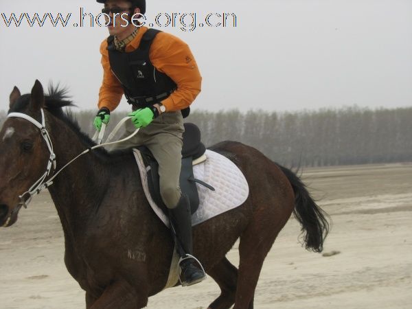 沈阳骑马野战俱乐部参加辽宁首届耐力穿越活动花絮