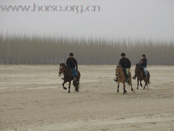 沈阳骑马野战俱乐部参加辽宁首届耐力穿越活动花絮