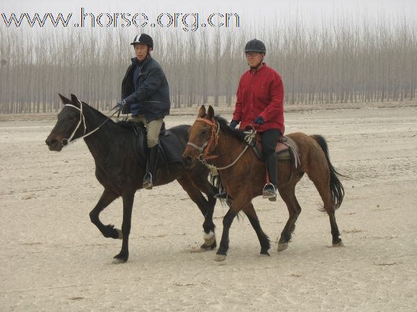 沈阳骑马野战俱乐部参加辽宁首届耐力穿越活动花絮