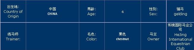 来自和境的一批半血马急于出售！