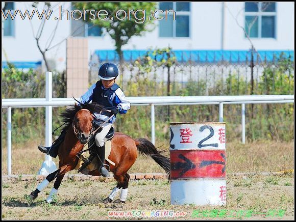 北京“权金城杯”绕桶挑战赛5月9日开赛，火热报名中