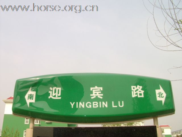 燕龙马场新址竣工，五月搬迁，为缓解马房紧张，优惠价格出售成熟马数十匹