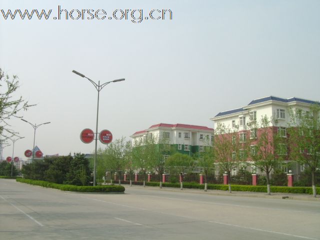 燕龙马场新址竣工，五月搬迁，为缓解马房紧张，优惠价格出售成熟马数十匹