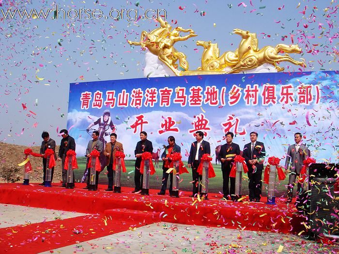 山东青岛又新开一家马术俱乐部