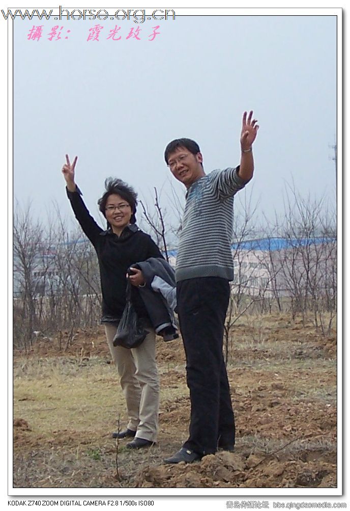 青岛马山浩洋育马基地开业