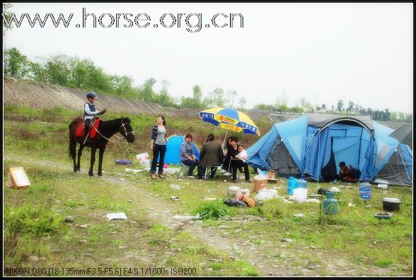 4月5号  周末我们一起骑马 野炊