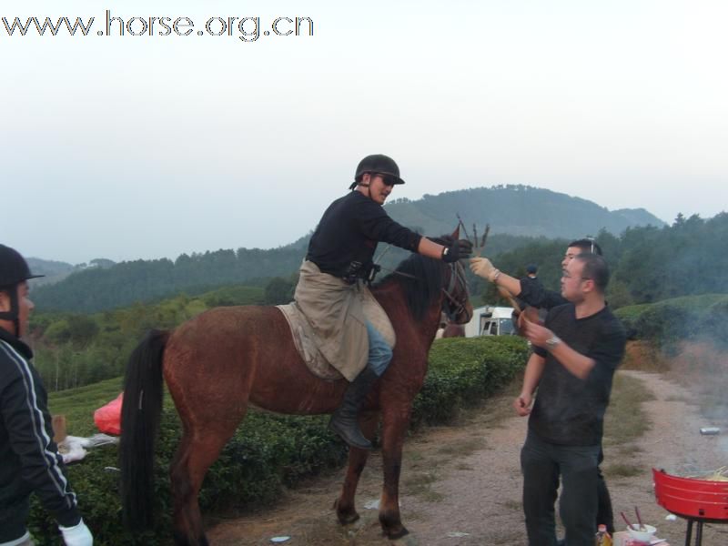 黑马骑士庄园的野骑活动