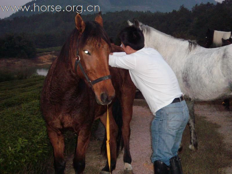 黑马骑士庄园的野骑活动