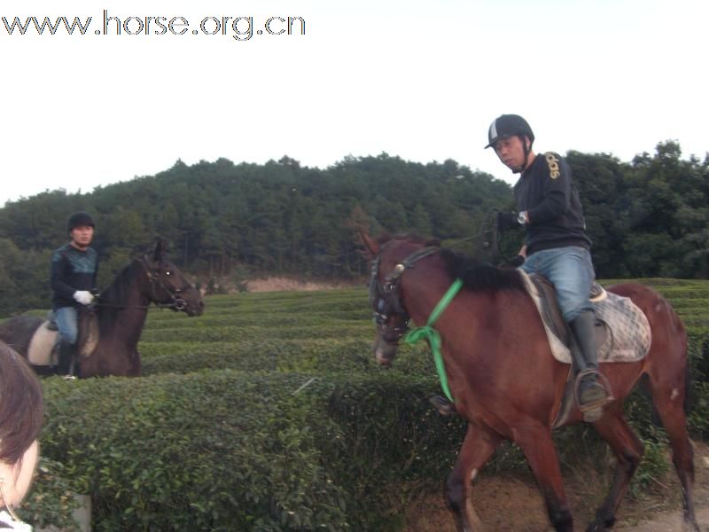 黑马骑士庄园的野骑活动