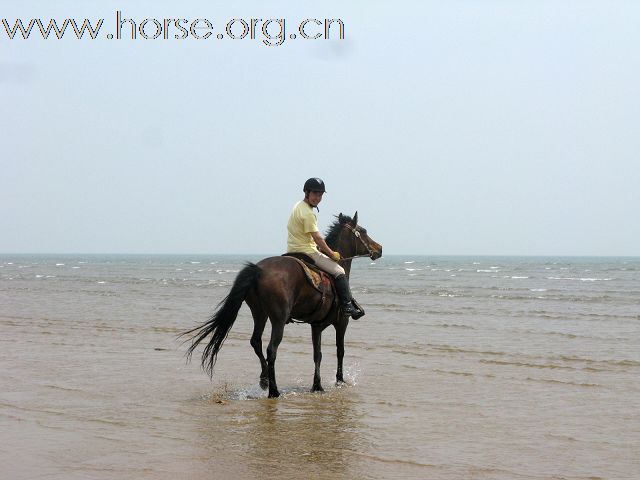 海边骑马爽！！！！